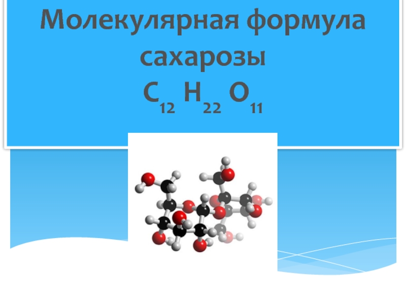 Сахароза роль