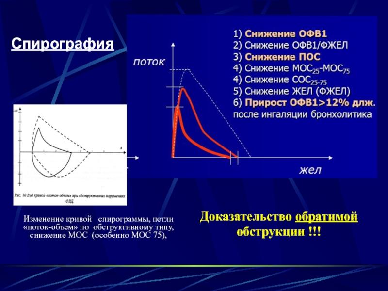 1 нарисовать спирограмму