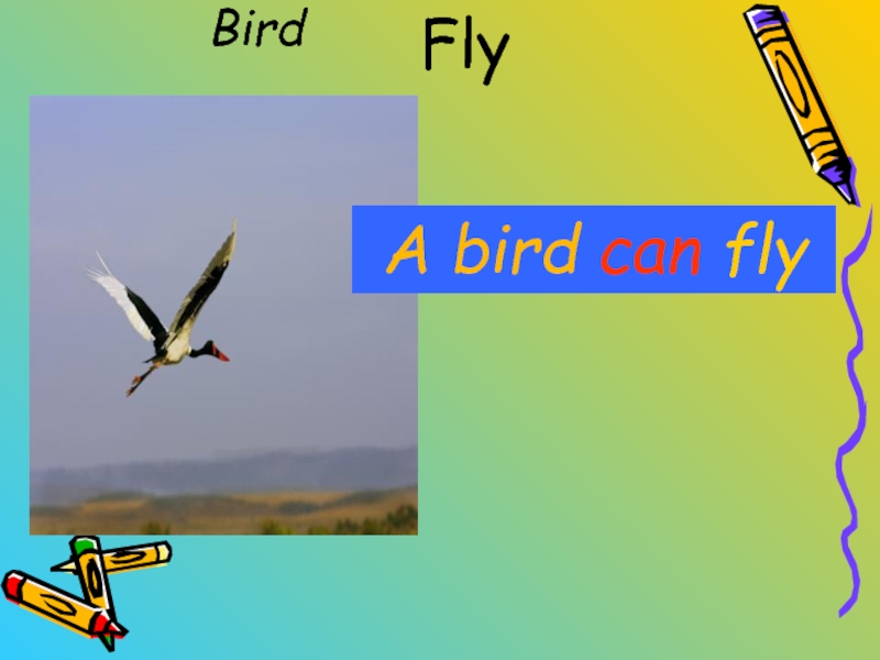 A bird can climb. A Bird can Fly. A Bird can Fly на уроке английского языка. Карточка a Bird can Fly. Birds can Fly Подбери к картинкам предложения.