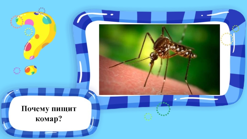 Почему комар пищит. Комар пищит. Почему комары пищат.