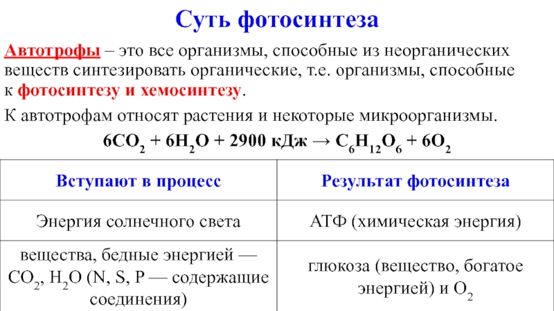 Организмы способные к фото или хемосинтезу относят к