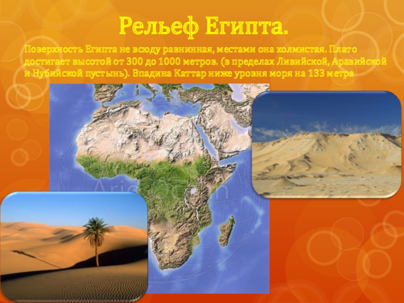 Какой климат в египте 5 класс. География Египта рельеф Египта. Крупные формы рельефа Египта. Природные зоны Египта Египта. Рельеф Египта карта.