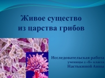 Живое существо из царства грибов 2 класс