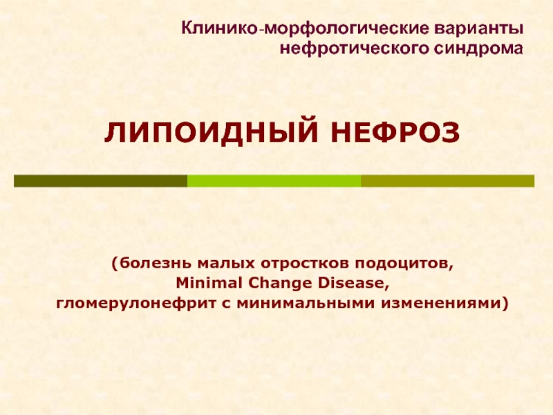 ЛИПОИДНЫЙ НЕФРОЗ
(болезнь малых отростков подоцитов, Minimal Change