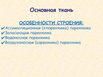 Основная ткань
ОСОБЕННОСТИ СТРОЕНИЯ:
Ассимиляционная (хлоренхима)