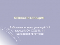 Млекопитающие