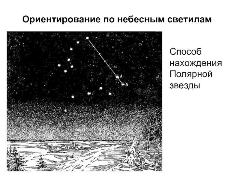 По какой звезде ориентируются на местности