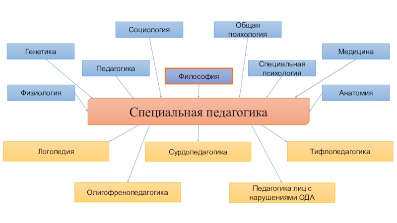 Реферат: Специальная психология и специальная педагогика