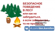 БЕЗОПАСНОЕ ПОВЕДЕНИЕ В ЛЕСУ или как не заблудиться,
а если заблудился, то не