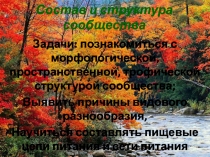 Состав и структура сообщества