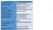 ГОЛОСЕМЕННЫЕ
ПОКРЫТОСЕМЕННЫЕ
Образуют семена
Образуют семена
Семена в