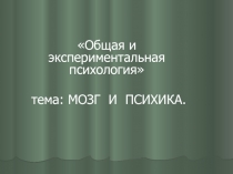 Общая и экспериментальная психология
тема: МОЗГ И ПСИХИКА