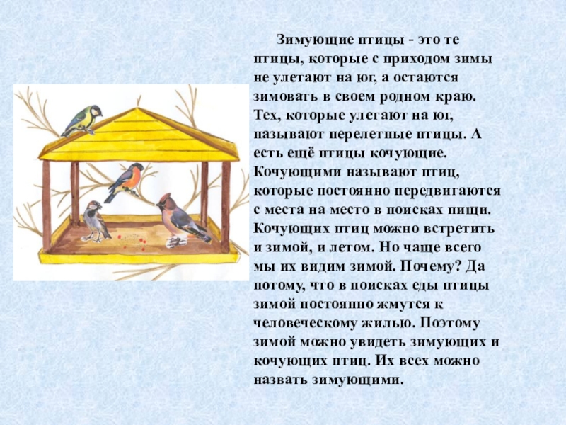 Почему птицы остаются зимовать. Почему птицы называются зимующими. Птицы которые не улетают на Юг. Птицы которые не улетают на Юг зимой.