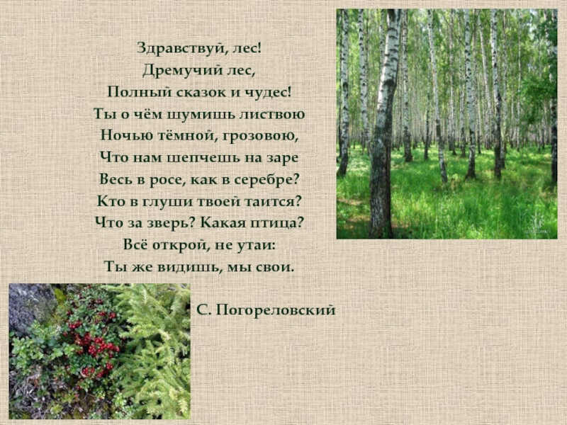 Край лесной текст. Стих Кольцова лес. Стихотворение лес Кольцов. Здравствуй лес дремучий.