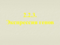 2.2.3.
Экспрессия генов