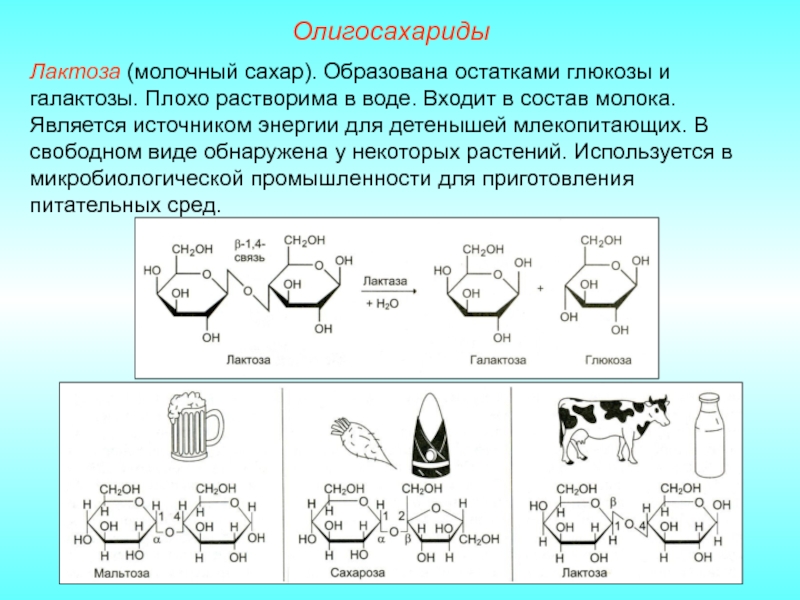 Лактоза презентация по химии