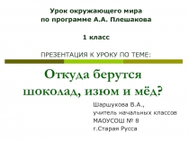 Откуда берутся шоколад изюм и мёд? 1 класс