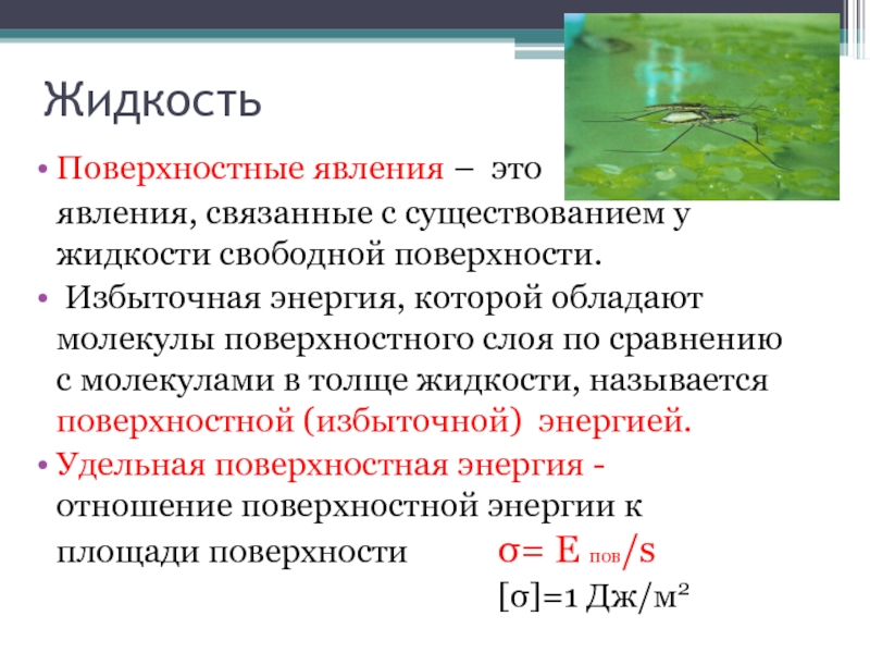 Свободная поверхность жидкости