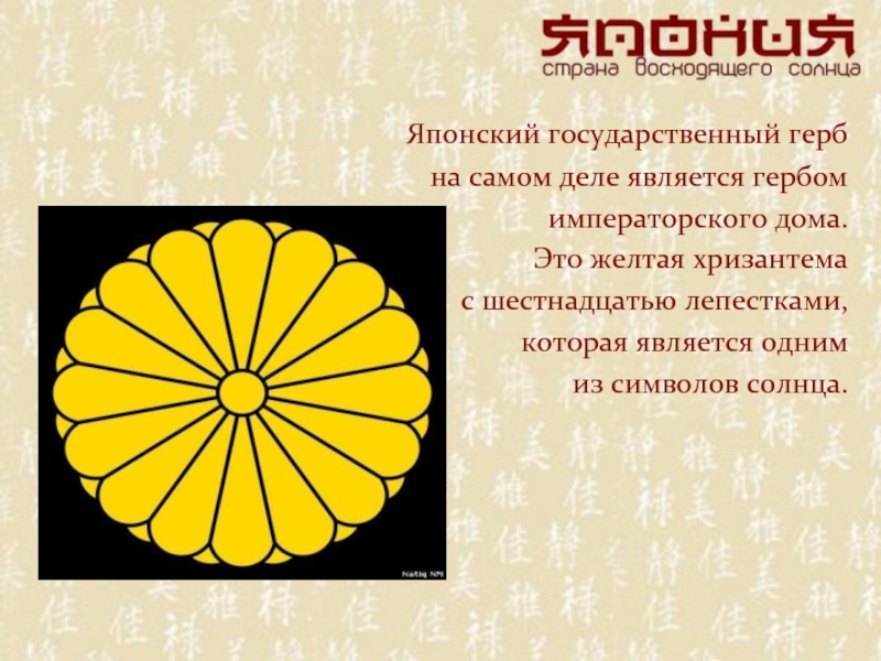 Японский государственный герб на самом деле является гербом императорского дома. Это желтая хризантема с шестнадцатью лепестками,
