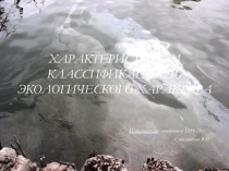 Характеристика и классификация ЧС экологического характера