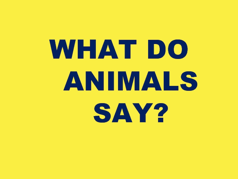 What do animals say?