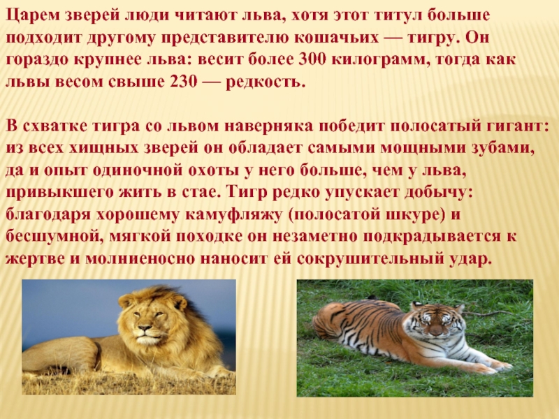 Интересное про животных. Интересное о животных. Факты о животных. Интересные факты о зверях. Интересные факты о животном.