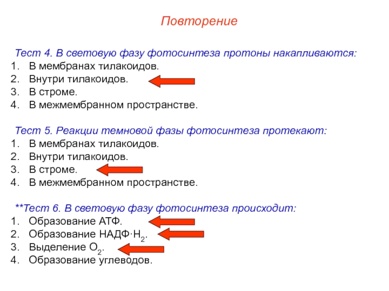 Тест биология 9 класс фотосинтез и хемосинтез