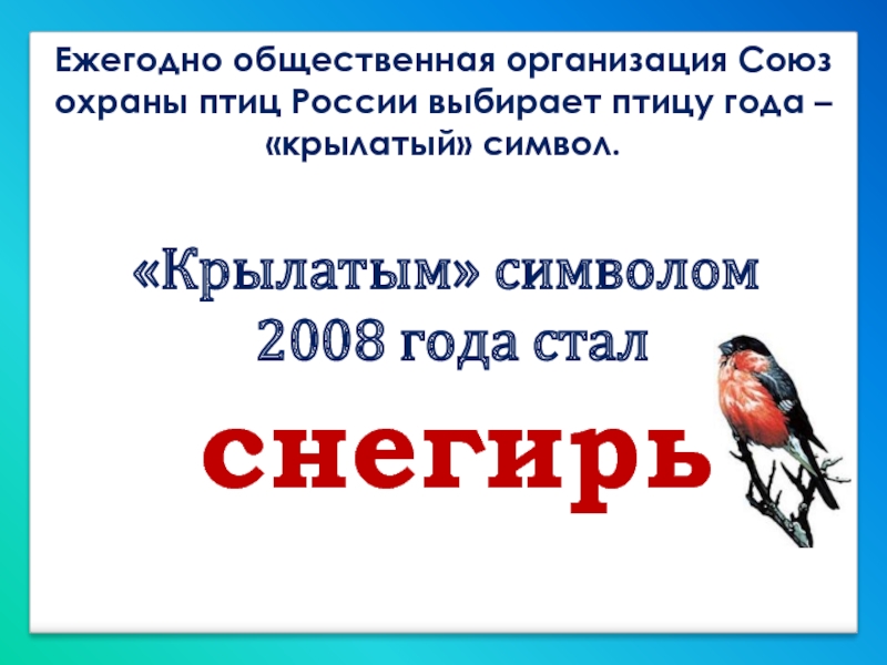 Ежегодно общественная организация Союз охраны птиц России выбирает птицу года – «крылатый» символ. «Крылатым» символом 2008 года