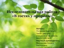 Исследовательская работа 