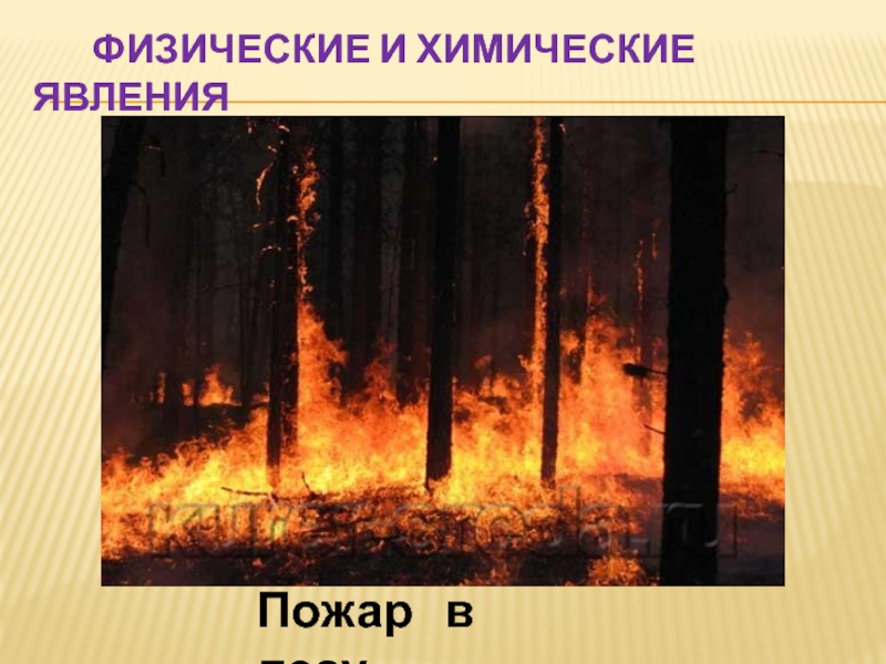 Презентация физические и химические явления. Огонь явление химическое.