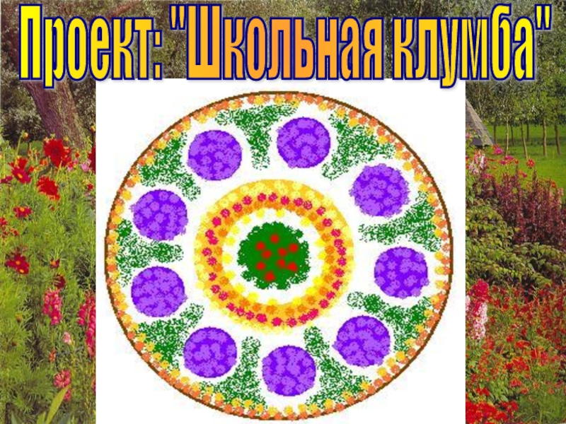 Клумба 1 класс. Проект клумбы. Цветники и клумбы проекты. Проект клумбы для школы. Школьная клумба проект.