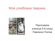 М оя улюблена тварина