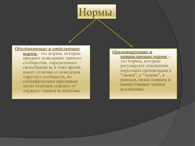 Нормы организации