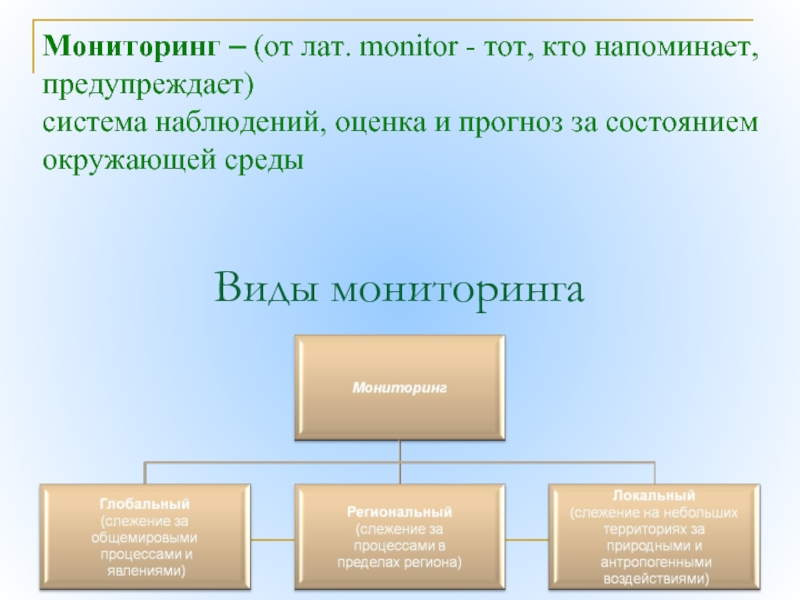 Мониторинг показал. Виды мониторинга. Мониторинг виды мониторинга. Виды мониторов. Виды мониторинга окружающей среды.