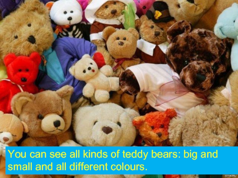 You can see all kinds of teddy bears: big and small and all different colours.