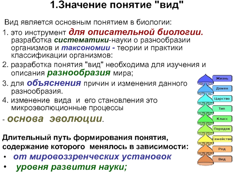 Презентация по теме видообразование 9 класс