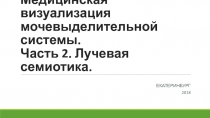 Медицинская визуализация мочевыделительной системы. Часть 2. Лучевая семиотика