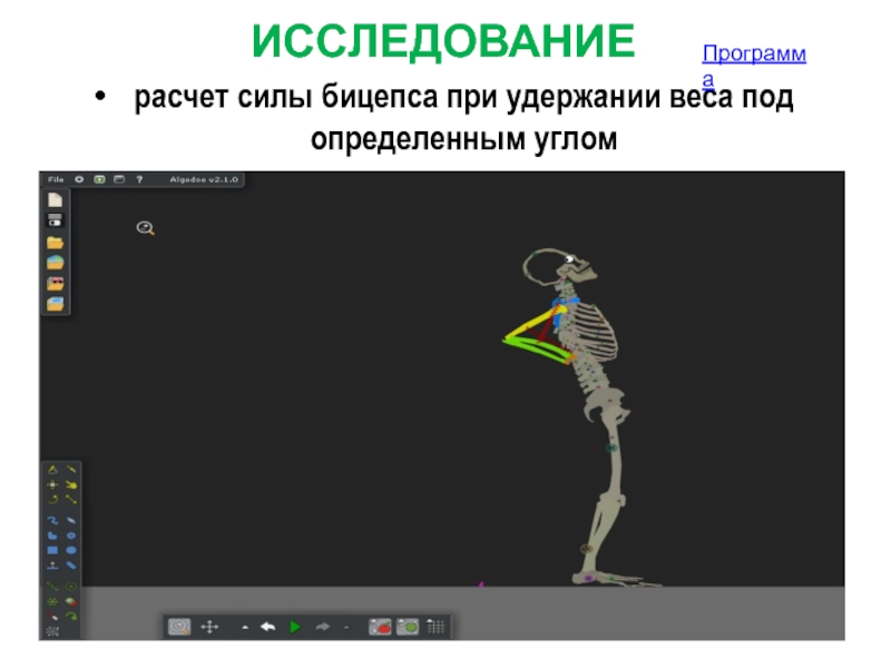 Методы исследования в биомеханике презентация