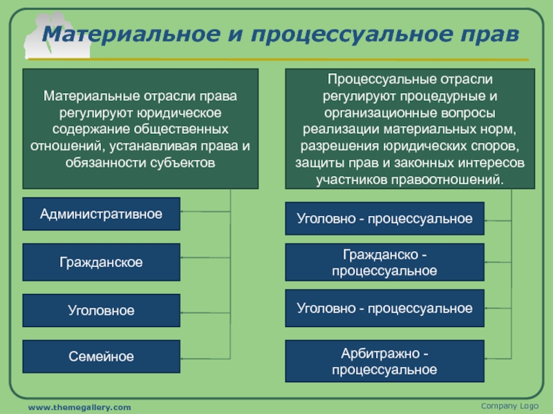 Презентация по обществознанию 10 класс процессуальные отрасли права боголюбов