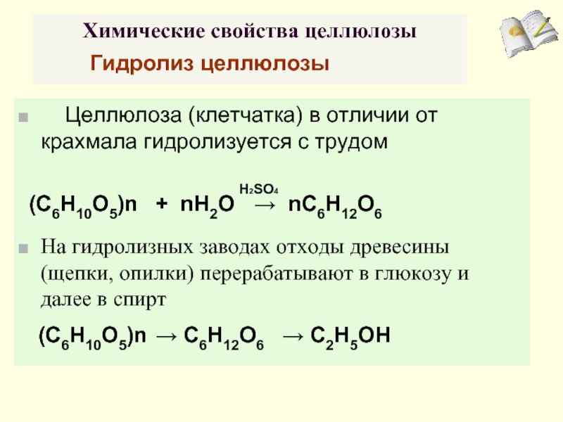 Целлюлоза полимеризация