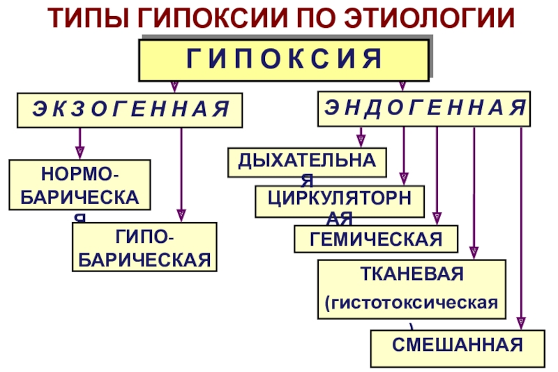 Виды гипоксии схема