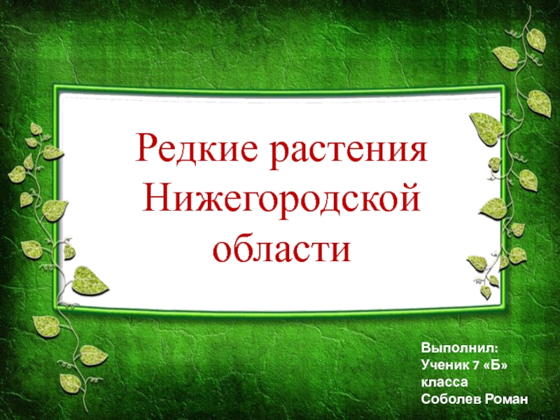 Презентация Редкие растения Нижегородской области 7 класс