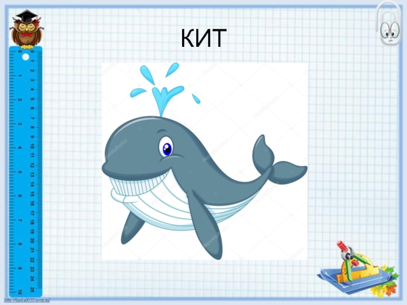 Схема слова кит. Схема слова кит 1 класс. Картинка кита для детей для занятия. Слово кит. Звуки в слове кит