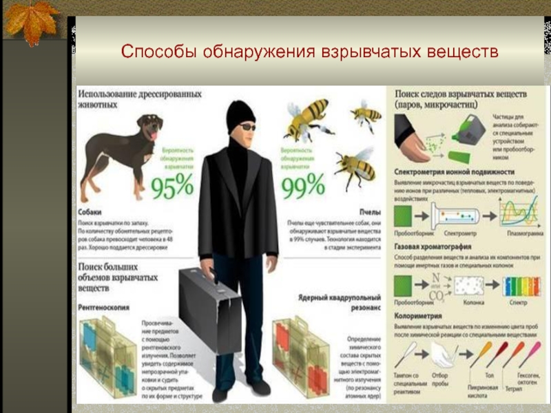 Методы обнаружения объектов на изображении