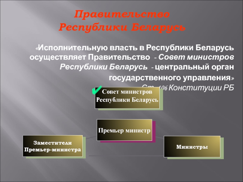 Государственную власть осуществляет правительство