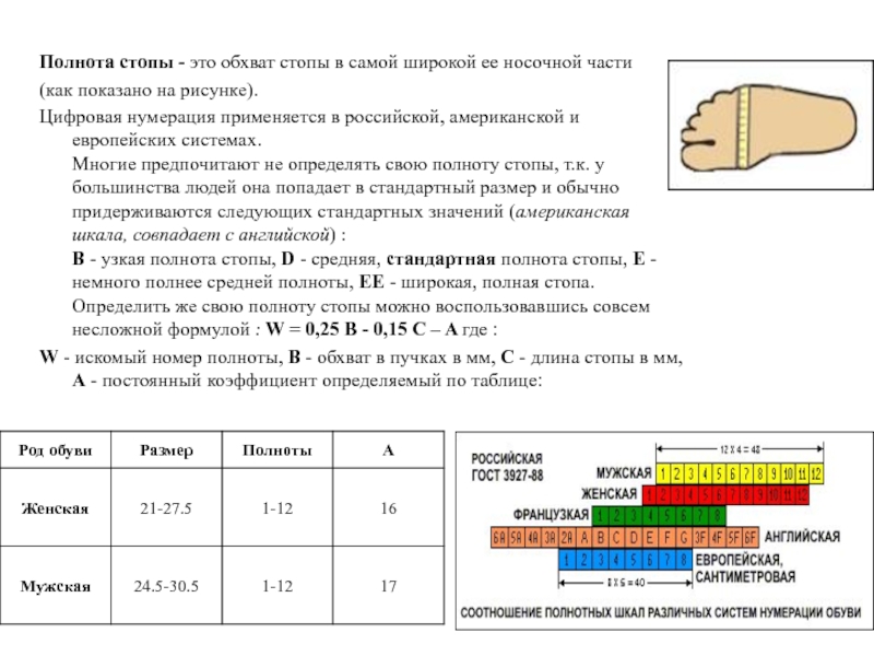 Полнота изображения эпохи достигается за счет