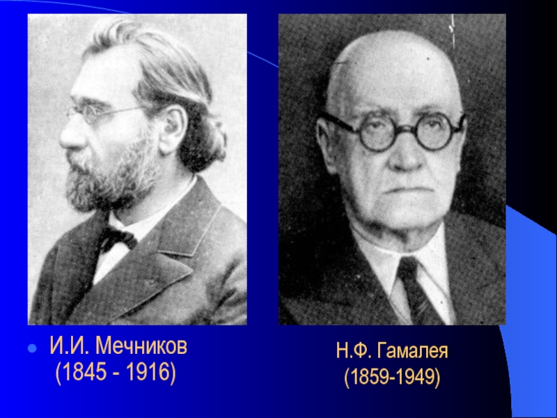 Н ф п. Гамалея и Мечников. Мечников и.и. (1845-1916). Мечников Илья Гамалея. Н Ф Гамалея.