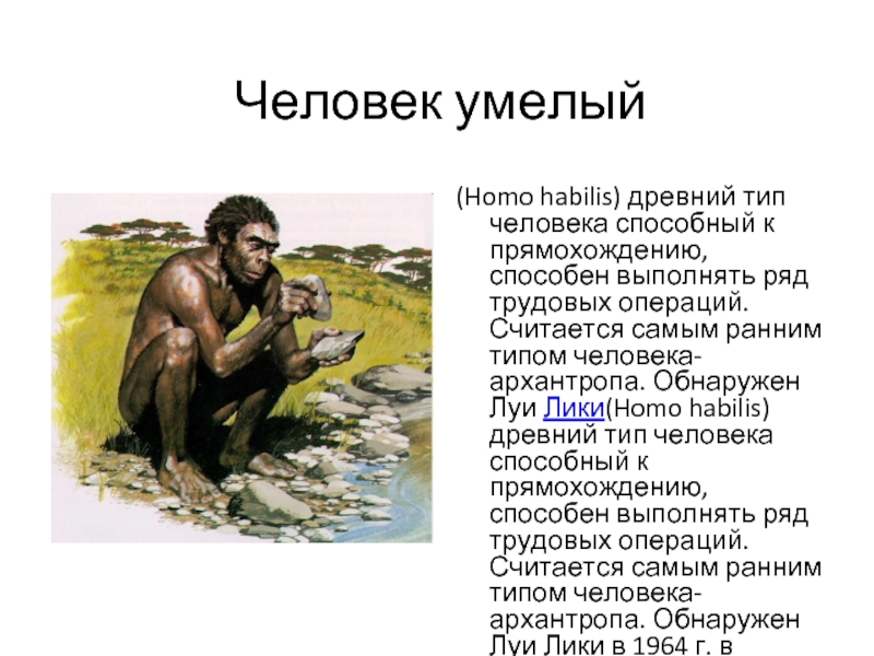 Древнейший тип. Человек умелый. Антропогенез человек умелый. Древние люди типа homo habilis. Человек умелый культура.