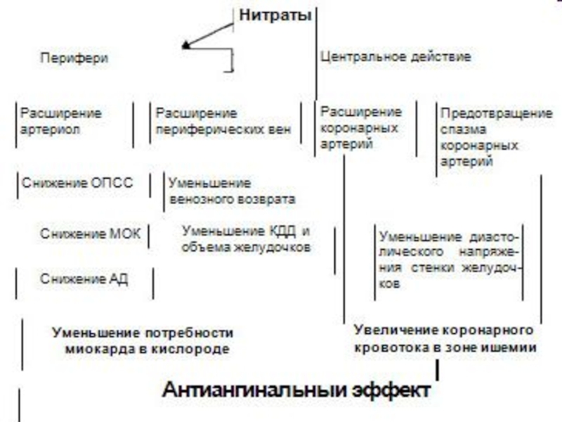 Фармакология в схемах