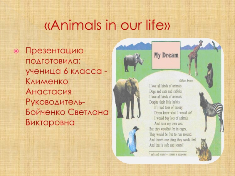 Animals in our life 6 класс